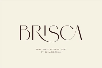Brisca Font: Free Retro Script for Creative Projects